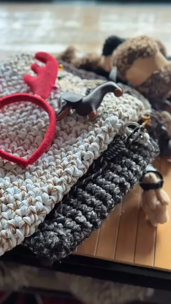 Winter Duo Laptop Cases